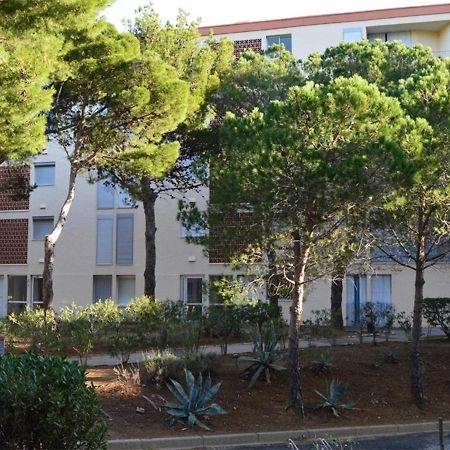 Appartement Renove Avec Clim, Parking Et Terrasse A 500M Du Port - Fr-1-225C-113 Banyuls-sur-Mer Dış mekan fotoğraf