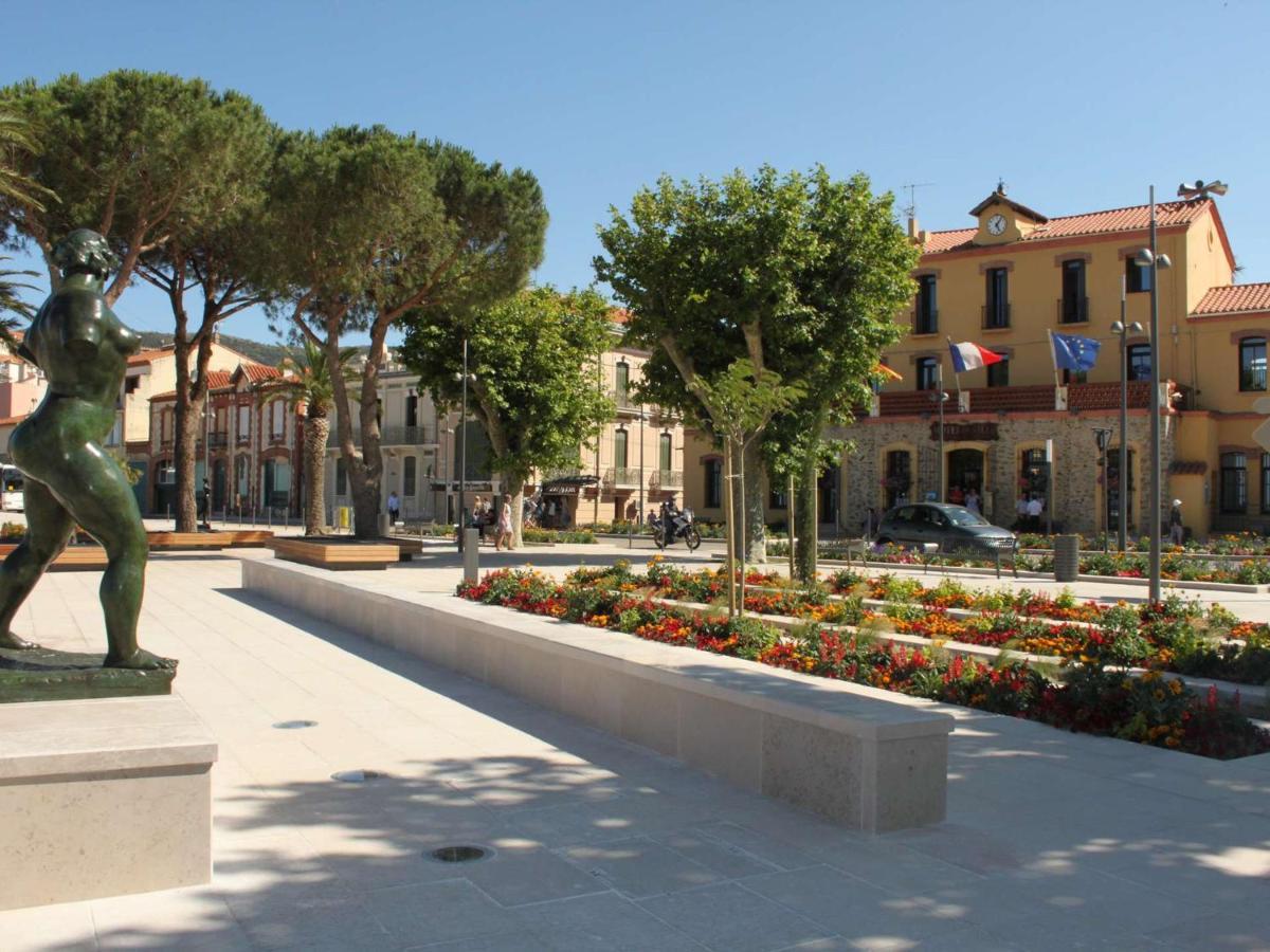Appartement Renove Avec Clim, Parking Et Terrasse A 500M Du Port - Fr-1-225C-113 Banyuls-sur-Mer Dış mekan fotoğraf